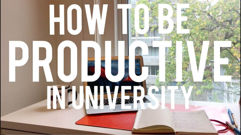 Be productive in the university