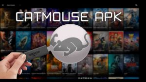 CATMOUSE APK showbox alternatives