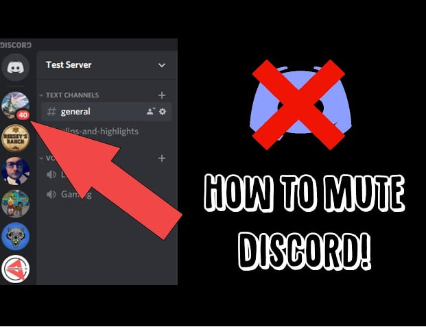 Mute a Discord Server on Mobile