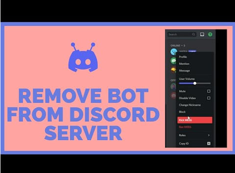 Remove a Bot from Your Discord Server