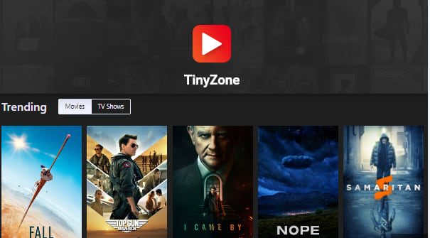 TinyZone